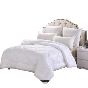 安睡宝悠眠柔绒提花纤维春秋被-双人 S97994AC 200x230CM 2.37KG